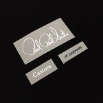 Paul Reed Smith Custom 22 [Silver Metallic]