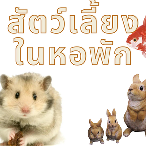 4 สัตว์เลี้ยงที่สามารถเลี้ยงในหอพักหรือคอนโด