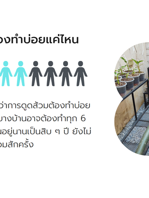 ดูดส้วมดุสิต