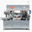 เครื่องจักรบรรจุภัณฑ์แบบโรตารี่ ชนิดแพคคู่