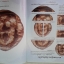 หนังสือกลเม็ดเคล็ดลับการศึกษาพระซุ้มกอจังหวัดกำแพงเพชร